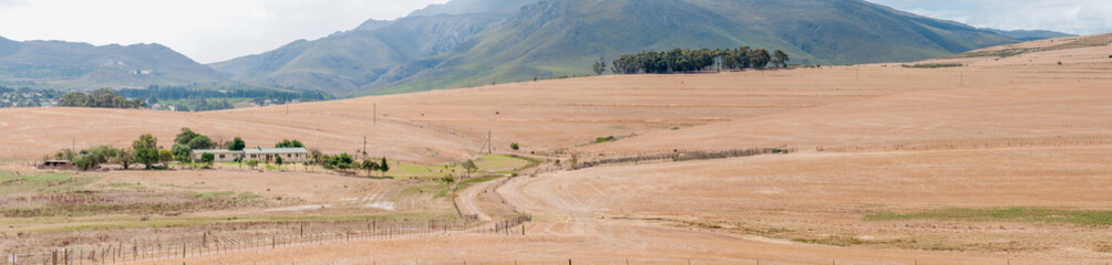 Naklejka premium View accross a farm near Bot River