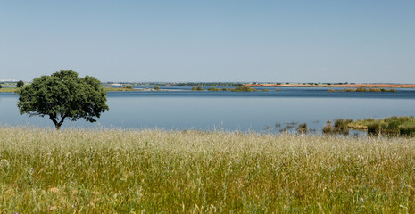Portugal Alentejo Aljustrel