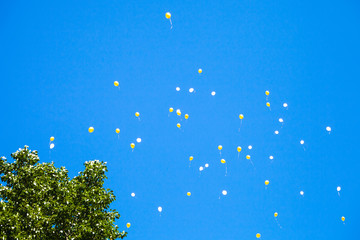 a lot of toy balloons in the blue sky