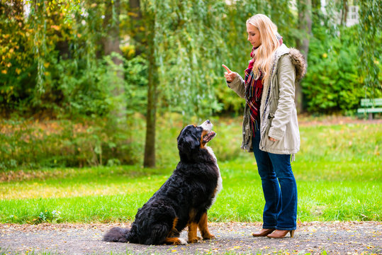 Frau bei Hundetraining mit Hund draußen im Park