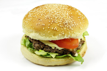 burger 01062015