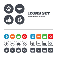 Hand icons. Like thumb up and insurance symbols.