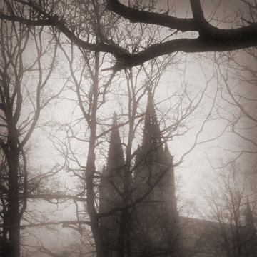 Gothic Church in fog through trees
