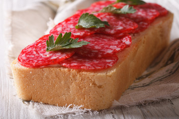 Large sandwich with salami and parsley macro horizontal
