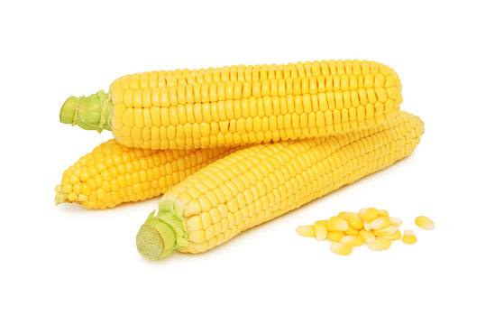 Three Corn On The Cob Without Leaves (isolated)