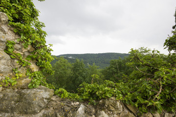 Die Burg Dorneck in Dornach