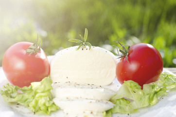 Mozzarela with salad and tomatoes
