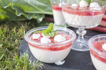 Rhubarb pannacottas