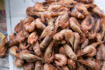 Nordseegarnelen Granat