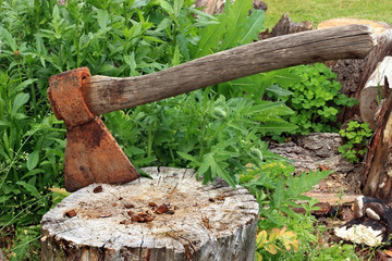 Axe in a tree stump