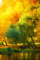 Papier Peint photo Lavable Automne Eau avec des arbres d& 39 automne dans le parc