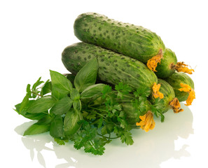 Fresh cucumbers with herbs