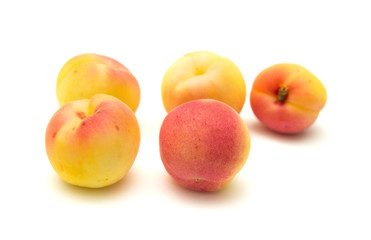 apricots