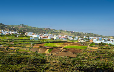 Gran Canaria, inland nortern parts, Barranco de Azuaje