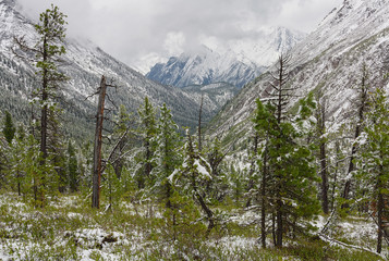 Snow in June in the Tunkinskie ridge Eastern Sayan mountains 