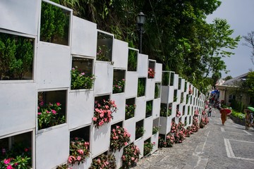 Flower wall at Ba Na Hills, Da Nang, Vietnam