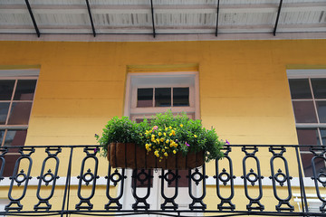 New Orleans Gallery with Flowers