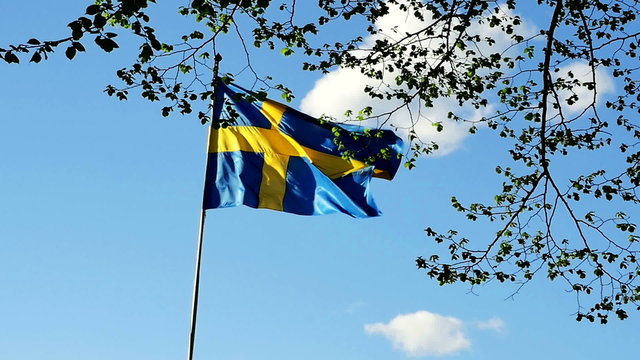 Swedish flag slow motion with leafs in foreground 1025