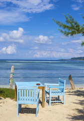 Tropical coastline.