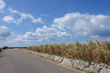 Fototapeta premium 沖縄県 波照間島の風景