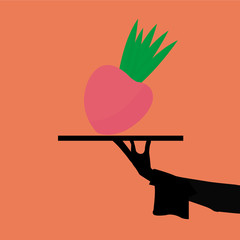 food natural over color background