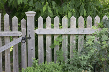 Garden - Picket Fence