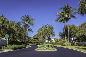 Gated community road in Florida