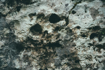 Abstract silhouette of skull on the stone wall