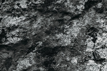 Monochrome stone background