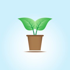 Sprout in Pot. Vector illustration