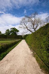 Summer park walkway