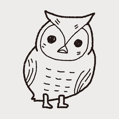 owl doodle