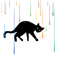 Funny black cat in the rain of paint - 84362240