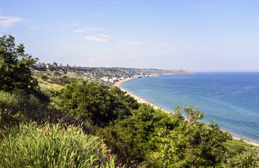 Obraz premium beautiful seascape with green grass and trees