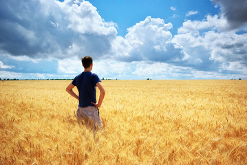 Naklejka na ściany i meble Man in yellow wheat meadow.