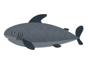 Shark On White Background