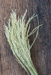 ear of rice on wood background