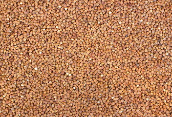 Buckwheat background