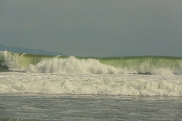 Wave