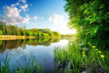 Foto auf Acrylglas Fluss Bäume am ruhigen Fluss