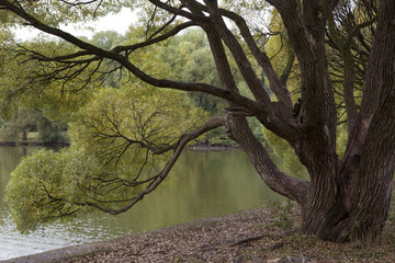 Осень в парке.