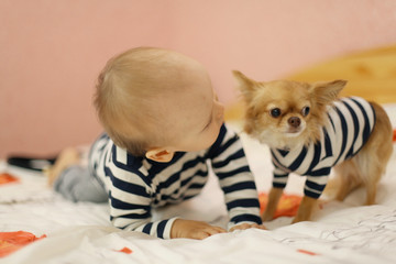 Fototapeta na wymiar baby and small dog