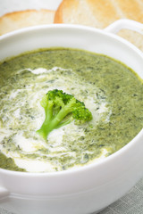 Brocolli cream soup