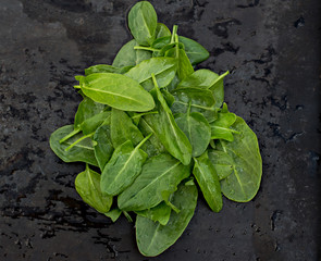 Fresh sorrel leaves  on the old black table