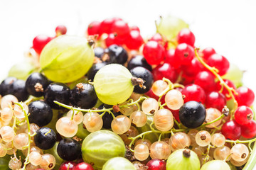 Currants and gooseberry