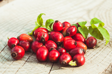 Dogrose fruits