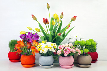 Fototapeta na wymiar Beautiful flowers in pots on light background