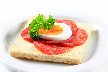 Salami sandwich
