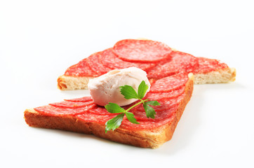 Salami sandwich