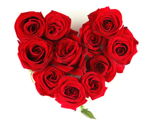 Beautiful red roses, isolated on white